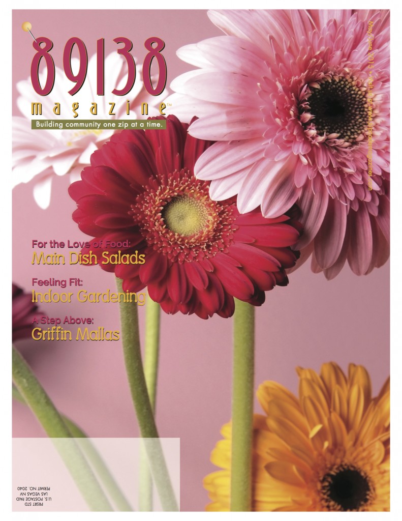 89138 Cover
