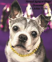 Normal Dog Aging or Doggy Dementia?  By Ashlee Verba